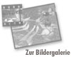 Hier klicken um zur Bildergalerie zu gelangen!